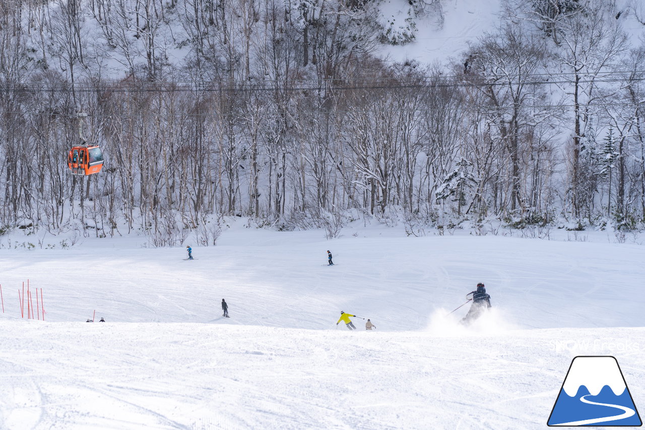 札幌国際スキー場｜積雪100cm超え！名物の急斜面『ダウンヒルコース』を含む、全てのコースが気持ち良～く滑走可能です(^^)/
